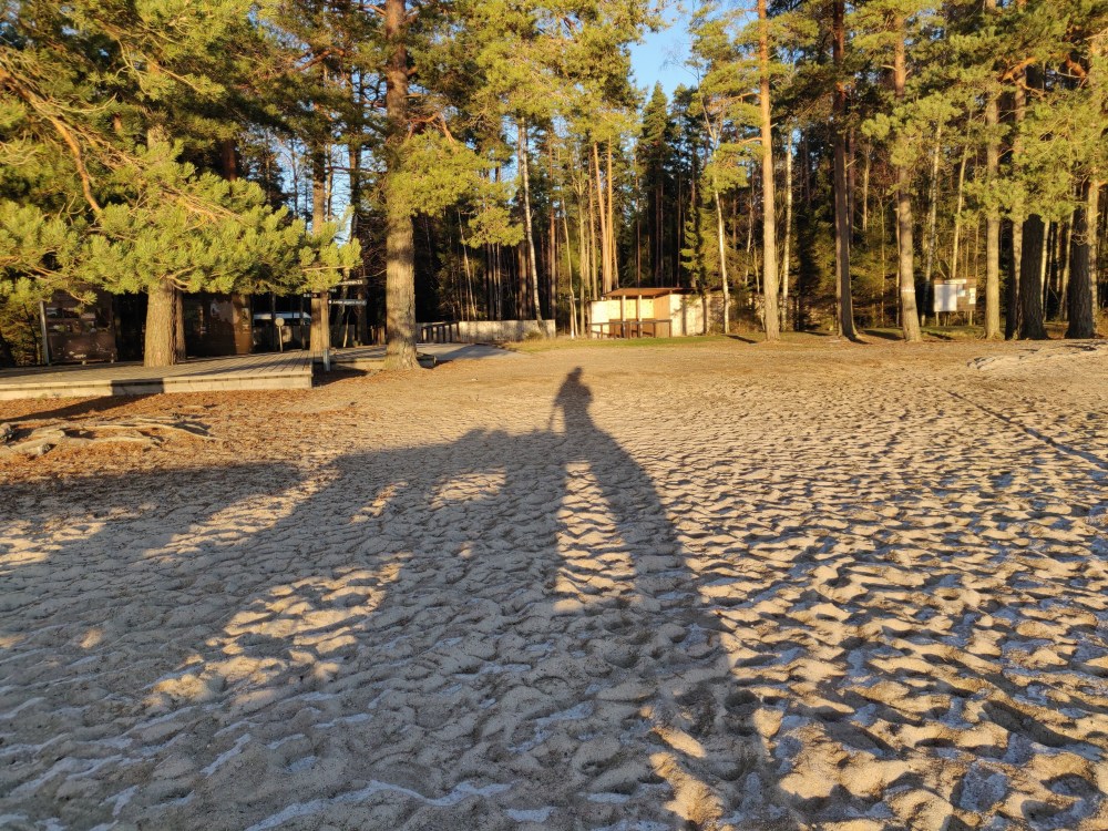 img_20181124_1433001