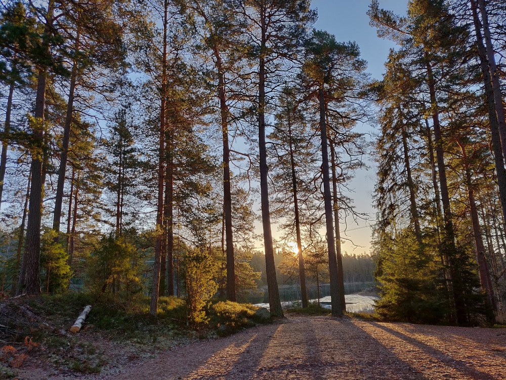 img_20181125_0906031