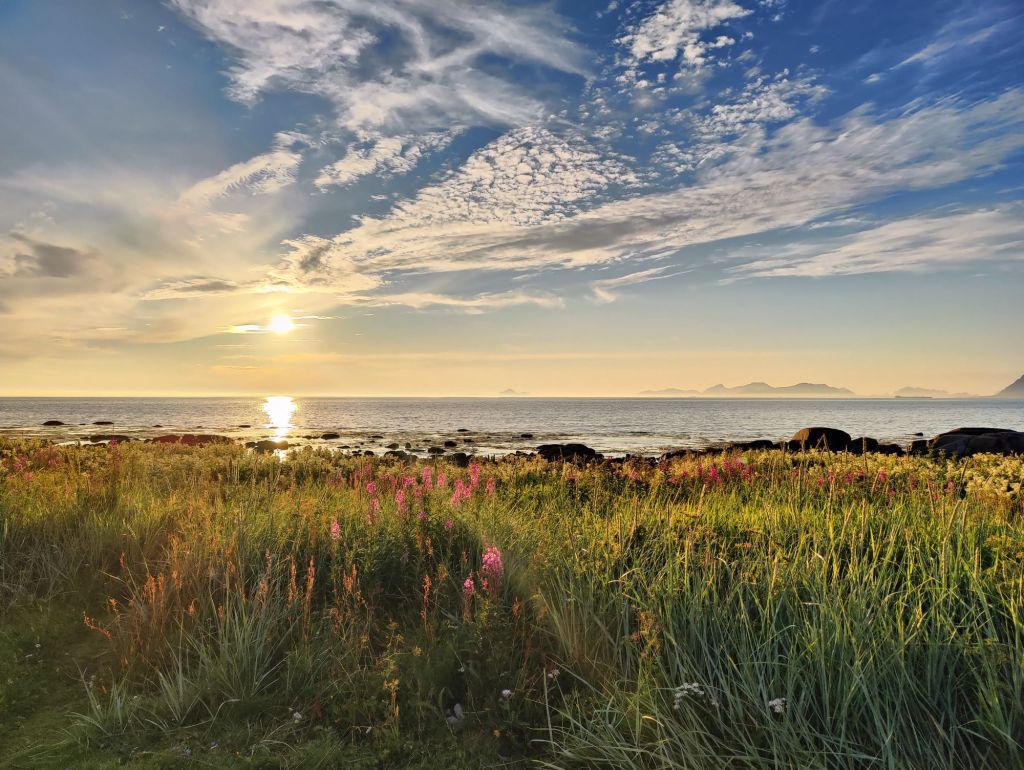 img202407182204156380674103099988936